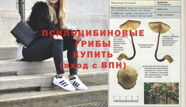 ALPHA-PVP Арсеньев